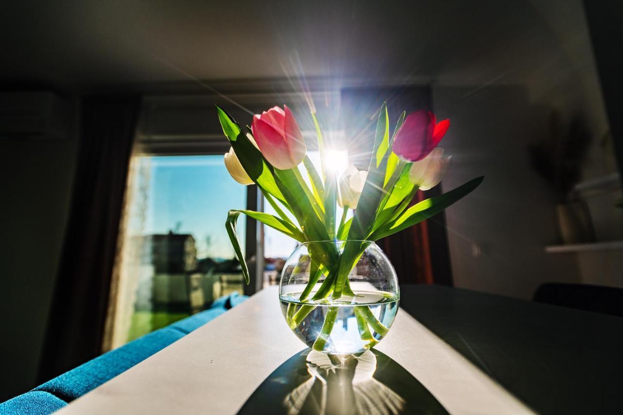 Holiday Apartment Zadar - With Summer Balcony And Parking Εξωτερικό φωτογραφία